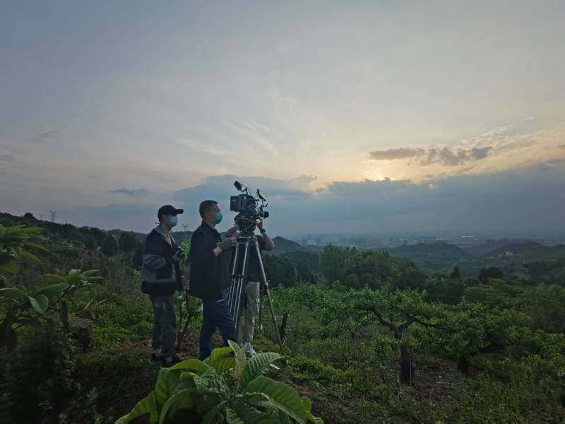 创意破圈！凌海市电商产品宣传视频用故事化叙事引爆流量